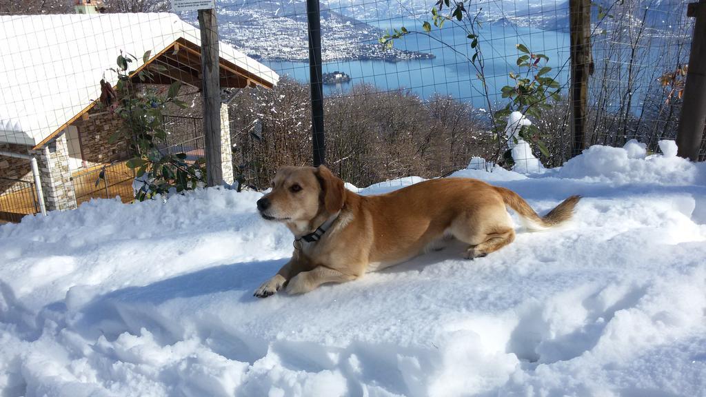 Appartamento I Faggi Casa Vacanze